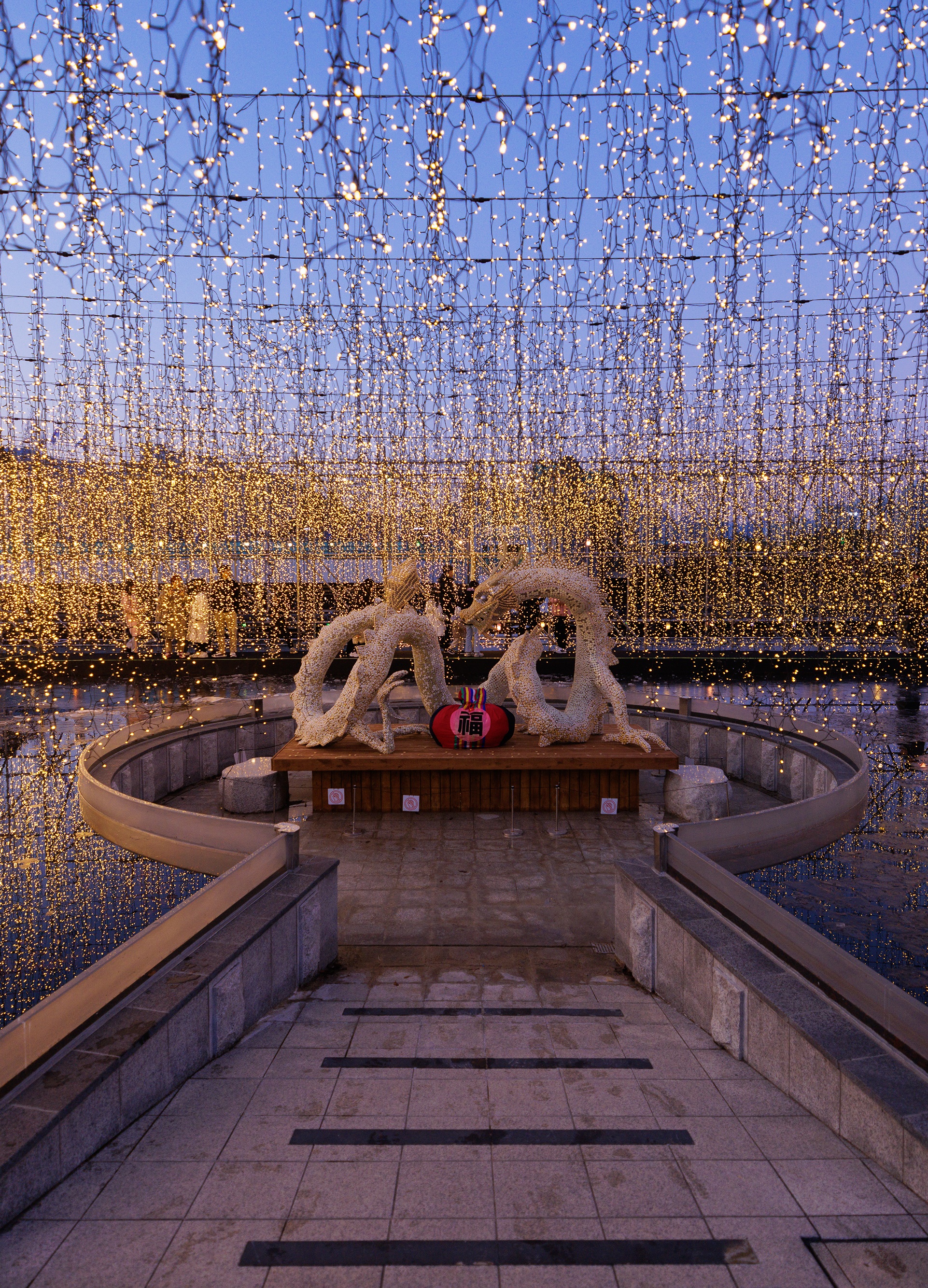 Busan Citizens Park Mirror Pond Light Festival