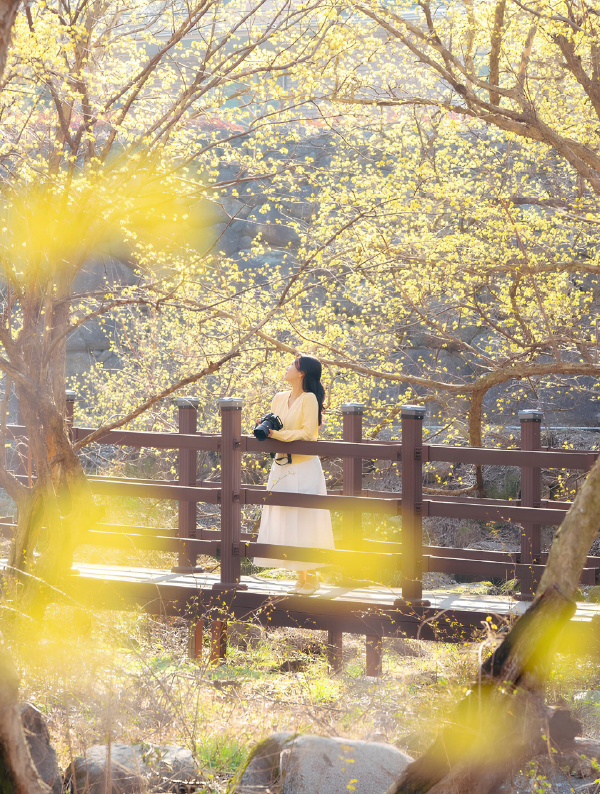 [Creator Interview] ❷ __lleve: 부산은 ‘언제나 여행하게 하는 곳’