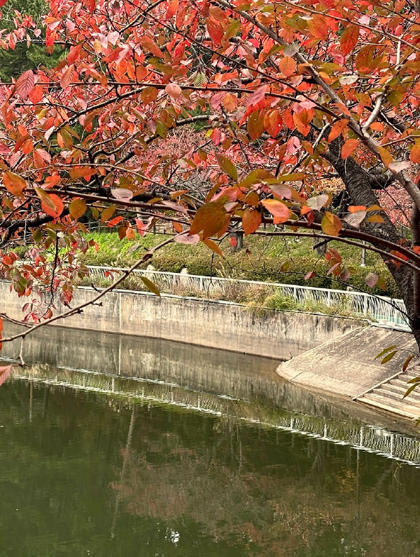 가을빛 따라 걷는 1박 2일 부산 여행