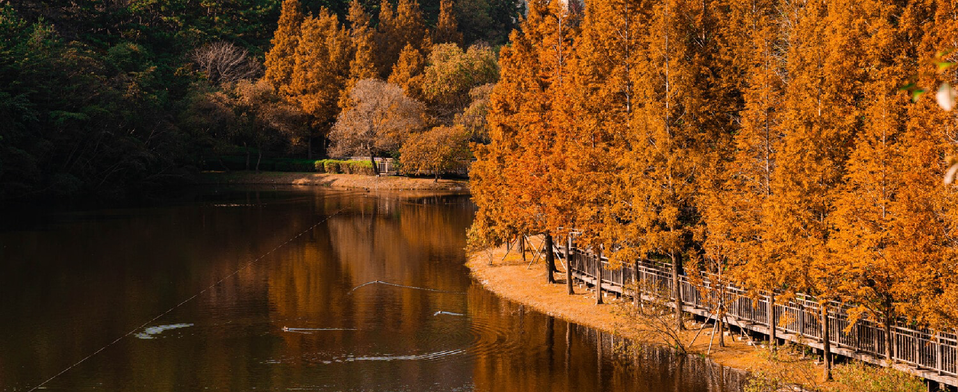 부산에서 요즘 핫해진 가을 명소 추천