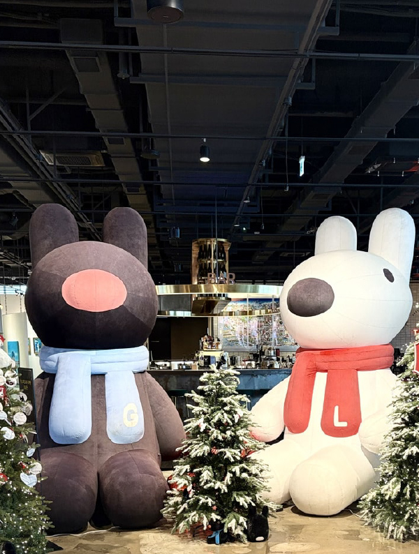 大切な人とクリスマスシーズンを満喫する！半日コース