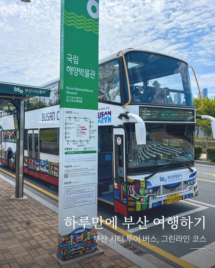부산시티투어 버스 그린라인 코스! 하루 만에 부산 여행하는 방법!