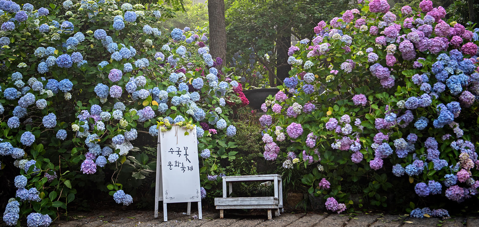 메인비주얼