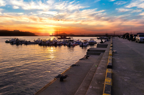 천성항 노지캠핑장