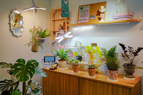 라벨스하이디 엄궁갤러리점