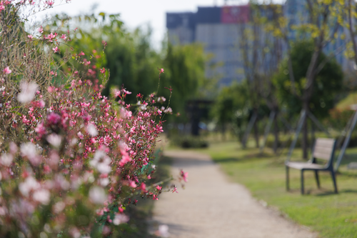 명지로맨발산책길