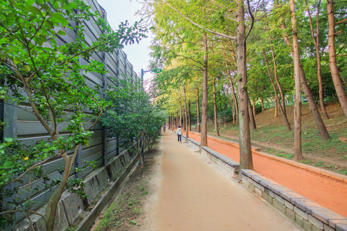 화명동기찻길숲속맨발산책로