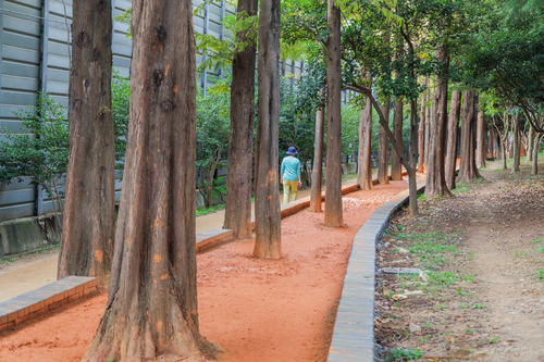 화명동기찻길숲속맨발산책로