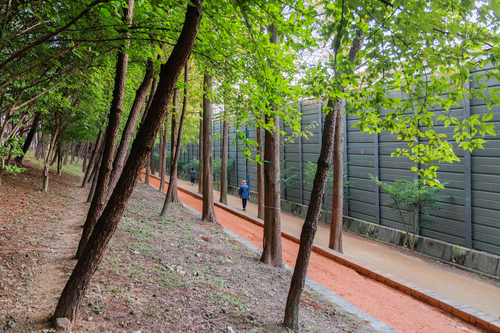 화명동기찻길숲속맨발산책로