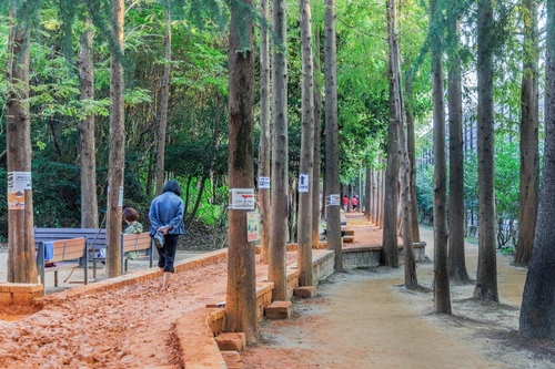 화명동기찻길숲속맨발산책로