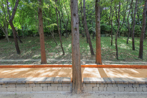 화명동기찻길숲속맨발산책로