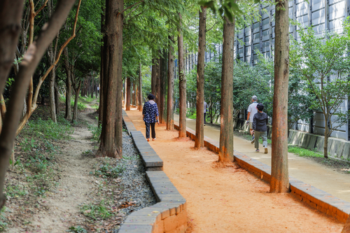 화명동기찻길숲속맨발산책로