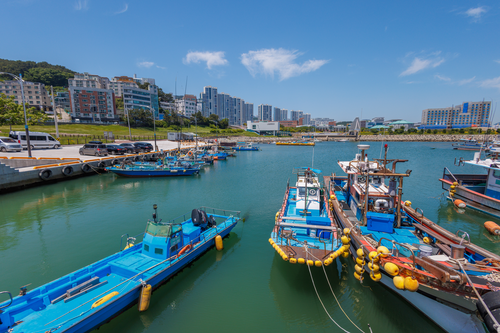 어촌체험_영도해상낚시터
