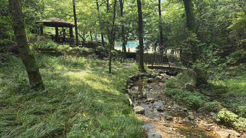 구덕야영장계곡