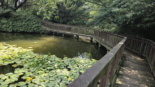 구덕야영장계곡