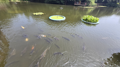 구덕야영장계곡