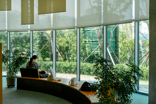 북두칠성도서관