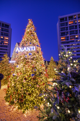 겨울빛 부산여행