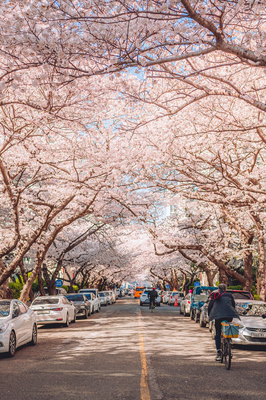 남천동 삼익비치아파트