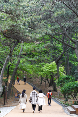암남공원 (Amnam Park)