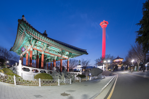 용두산공원 야경썸네일