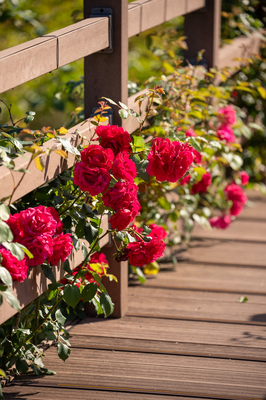 해운대수목원_9