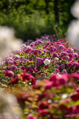 해운대수목원_10