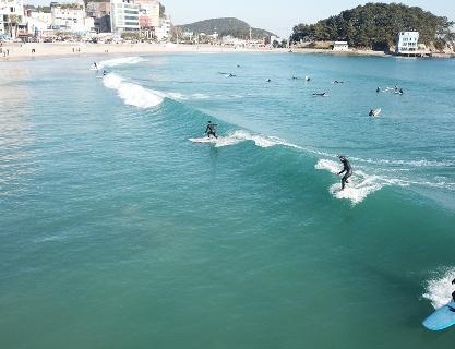 Surfing Courses and Lessons