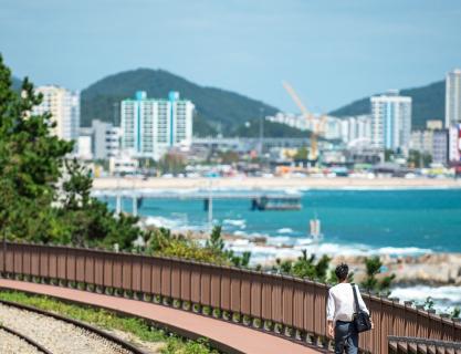 Head to the sea with stories of the old downtown of Busan