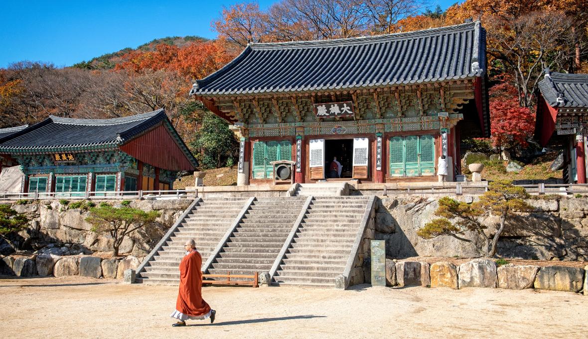 2泊3日で釜山完全制覇 おすすめの旅 テーマ旅行 テーマ旅行 부산시 공식 관광 포털 비짓부산 Visit Busan