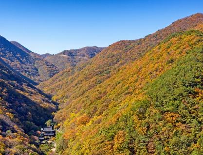 Gijang Bulgwangsan Forest Trail with its beautiful five colors 
