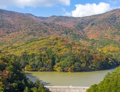 Seongjigok Reservoir where, memories and nature coexist