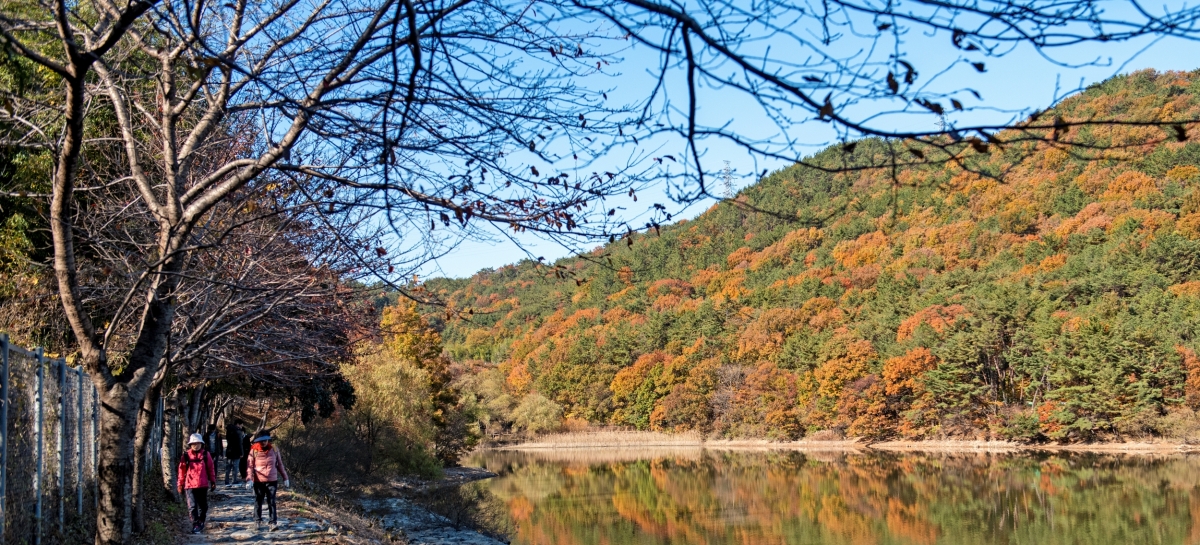 Walk around Hoedong Reservoir, a place that embraces eternal nature 