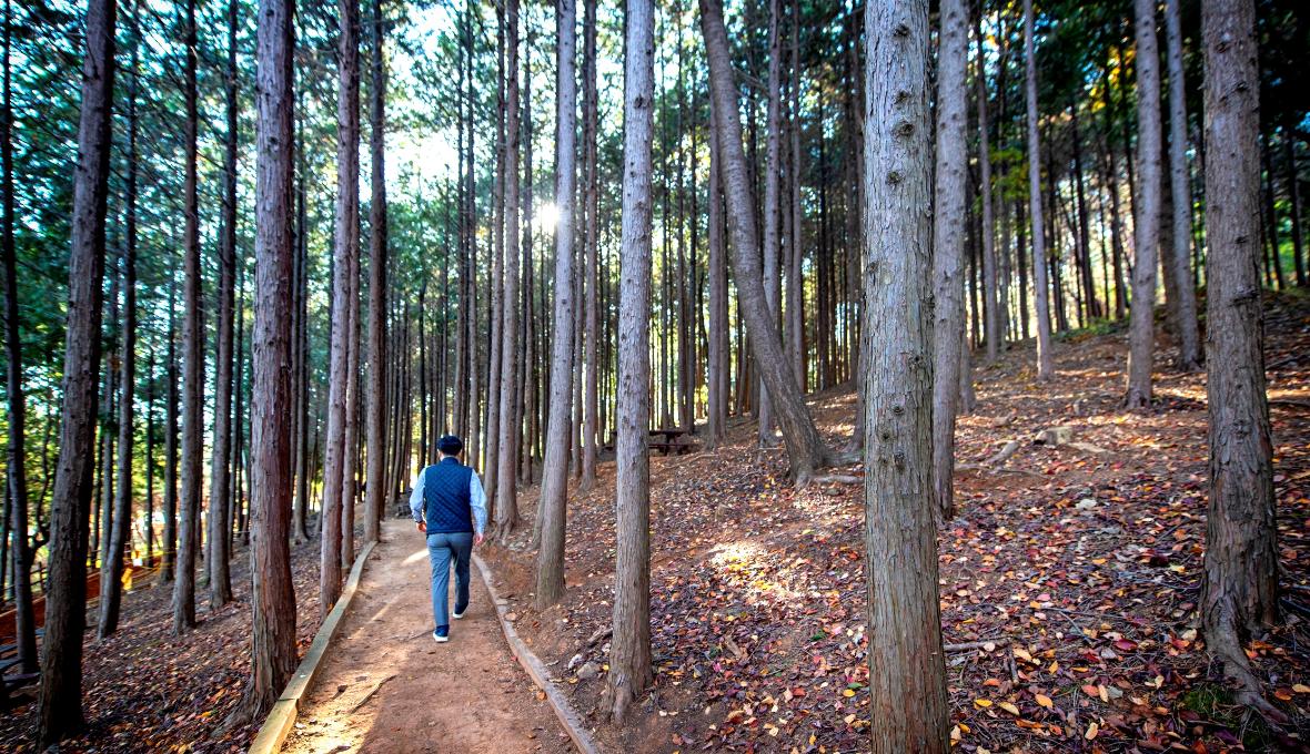 Walk around Hoedong Reservoir, a place that embraces eternal nature 1