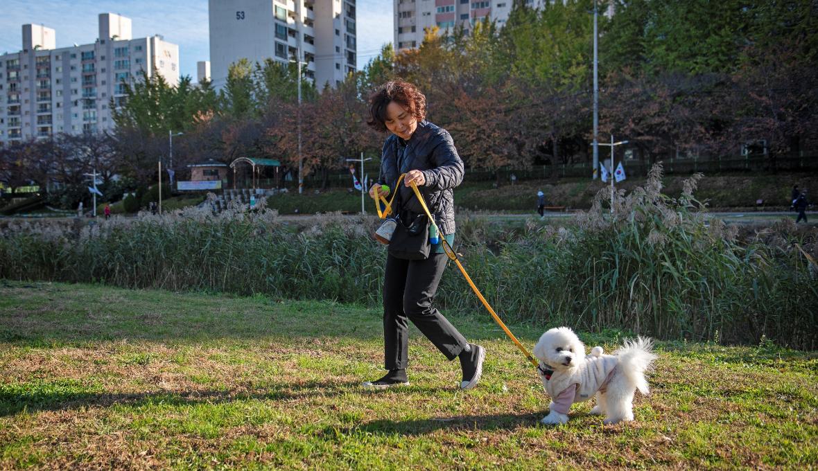 寵物同遊 推薦旅遊 主題旅遊 主題旅遊 부산시공식관광포털비짓부산visit Busan