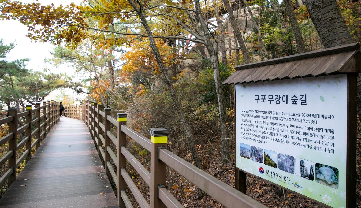 亀浦バリアフリー森の道 おすすめの旅 徒歩旅行 徒歩旅行 부산시 공식 관광 포털 비짓부산 Visit Busan