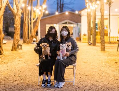 Run around as much as you want! A trip to Busan with your puppy!