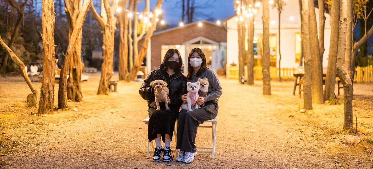 마음껏 뛰어노시개~ 댕댕이와 함께 부산여행! (한,영,중간,중번,일)