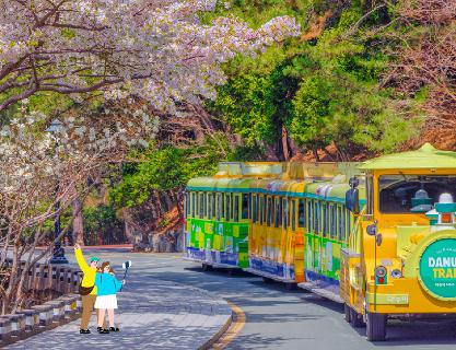 10 Attractions for Busan Trips to Meet Spring Early