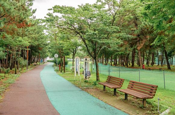 Pet-friendly Trips in Busan3