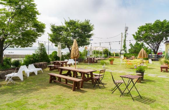 Pet-friendly Trips in Busan2