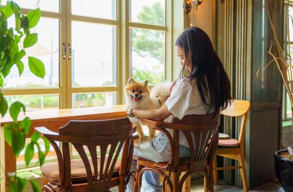 Pet-friendly Trips in Busan2