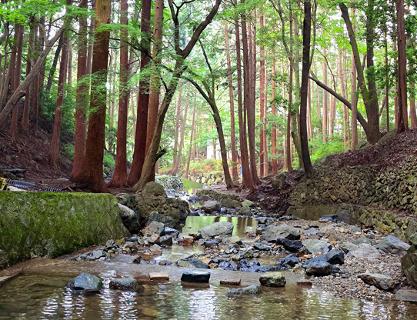 Refresh your mind with the clean air and water of Daeshin Park & Daeshin Valley (Former)