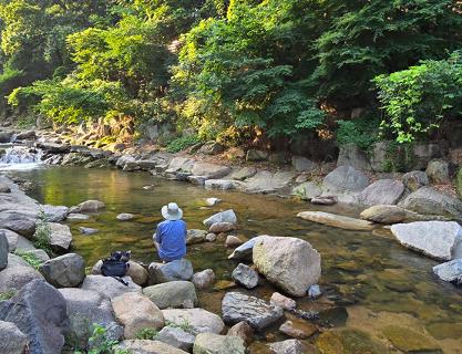 Beomeosa Temple in Yongseong Valley, where you can get a glimpse of Busan's history and enjoy the cool valley stream