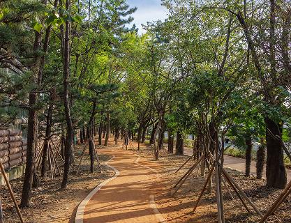 An Invigorating Walk on the Hadan Red Clay Trail