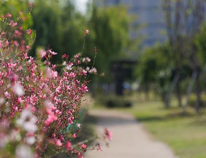 Myeongji Neoul Park Barefoot Trail : A Natural Gift to Awaken the Mind and Body