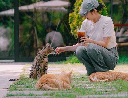 “Woody Brook,” a Brunch In the Forest with Cats, Like a Fairy-Tale Space