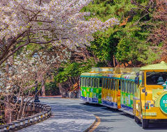 春の風が吹く島へ、2泊3日の釜山旅行
