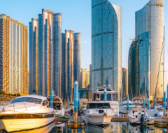 Experience the sea of Busan on a yacht!