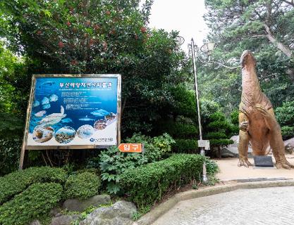 부산해양자연사박물관